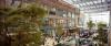 Inflation Outlook Falls as Consumer Confidence Climbs Despite Tariff Pressures