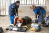 Pygmy Hippo Immobilized For Exam