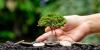 Report Finds Ethiopia in Climate Finance Dire Straits