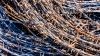Tech company develops innovative method to pull valuable materials from common waste: 'A remarkable milestone'