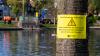 'The Government will halve sewage pollution by the end of the decade,' vows Environment Secretary