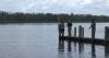 Nanticoke River Invasive Fishing Derby Mixes Fishing, Fun, and Science
