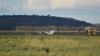 Two dead after light plane crashes near Queensland airport