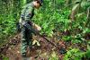 Landmine clearing starts near Cambodian border