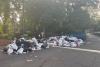America's Hot Garbage Summer Bites