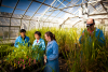 Applications open for CSIRO’S Innovate to Grow: Agriculture, Food and Technology