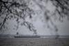 Finland court drops case against Russian 'shadow fleet' crew accused of undersea cable damage