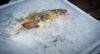 Big week of sales keeps pressure on Icelandic whitefish auction prices, for now