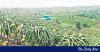 Farmland expands in 16 districts, defying national decline