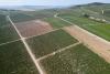 World AFP France jails three in champagne 'slaves' case