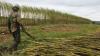 Florida farmers to receive $675.9M in disaster assistance for hurricane damage