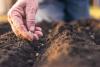 Navigating climate uncertainty: The future of agriculture in a changing world