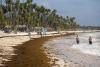 Unprecedented sargassum surge threatens tourism in the Caribbean