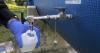 Tampa Bay Water, leader in 'forever chemical' litigation, receives more than $21 million in settlement