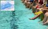 Scientist reveals the stomach-churning truth about the chlorine smell in swimming pools