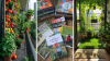 10 Books That Teach You Everything About Terrace Gardening