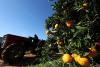 Africa food systems not on track, time for decisive action