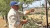 Palestinian Christians share messages of peace and hope amid deadly conflict