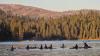 Small Business Spotlight: Golden Light Paddle