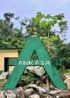 Roadmap inspiring cultural institutions: Switch off, retreat and reconnect at Ankasa’s nature sanctuary for some self-love