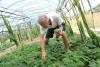 ‘Garden of Eden’: Albania eyes growing exotic fruit for Europe