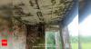 Outraged public exposes crumbling state of govt schools on social media