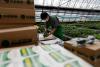 China announces plan to boost consumption of agricultural products