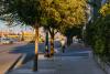Las Vegas leaders are banking on trees for cooling. The science is complicated