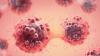 Scientists Simulate Cancer Cell Behavior