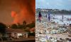 Scientists discover two alarming new seasons on Earth that return every year