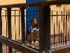 12- to 15-year-olds subjected mentally ill teenage girl to stomach-churning ordeals in Budapest