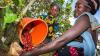 Africa’s smallholder farmers are using bright ideas to adapt...