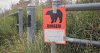 Two bear attacks reported recently in Anchorage area, officials warn hikers