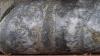 Aguia hits bonanza gold with first Colombian assay results
