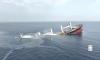 Houthis Detain 10 Crew Members from Sunken Cargo Ship Near Yemen
