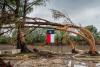 Art World Rallies After Deadly Texas Floods, Christie’s Art + Tech Summit: Morning Links for July 29, 2025