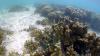Honolulu's lawsuit against fossil fuel companies heads up climate change legal fight
