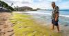 Early Hawaiian petroglyphs are visible on a Big Island beach again with changing tides and shifting sands