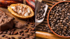 Guyana, DR ink new agreement to kickstart cocoa & coffee production in Reg. 1