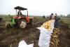 Egyptian agricultural exports reach 6.24mln tonnes, expanding to new global markets