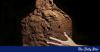 4,000-year-old handprint found on Egypt tomb