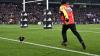 All Blacks v France: Rooster’s happy ending after surprise appearance during match
