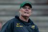 Springboks are not less prepared than Australia after Italy, Georgia Tests — Rassie