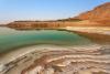 From deserts to gardens: how faith communities are healing the land in the Middle East