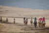 Lesotho's jockeys saddle up for mountain horse racing