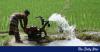 How precision agriculture can transform Bangladesh
