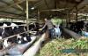 General : Terengganu Records 73,051 Agricultural Holdings In 2023