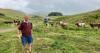 North East agricultural show to host new best herd competition