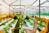 F&B digital divide: Tech gaps and outdated systems stifle industry...