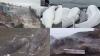 Earthquake Terror In Russia: Wrecked Ports To Stranded Whales— Viral Videos Capture 8.8 Tsunami Wrath; How Far Is The Extent Of Damage?